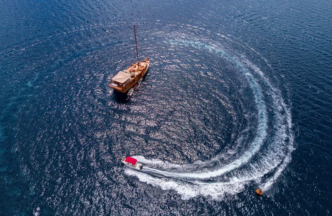 An image of Sequoia yacht