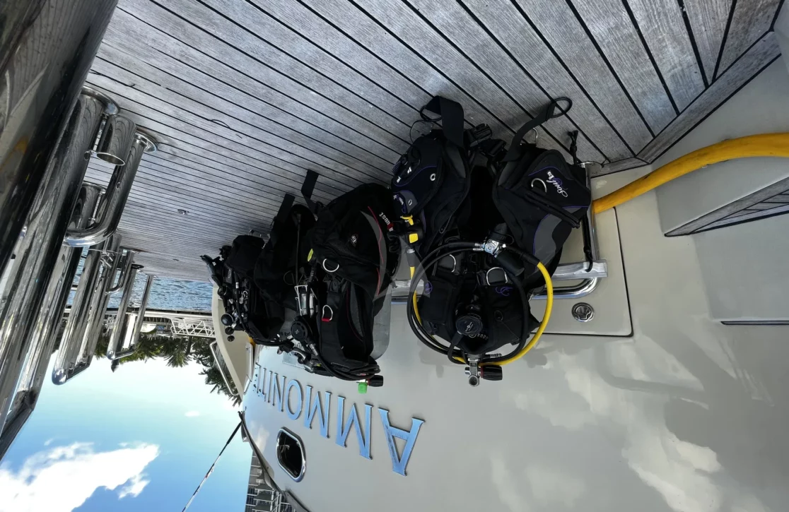 An image of Ammonite yacht