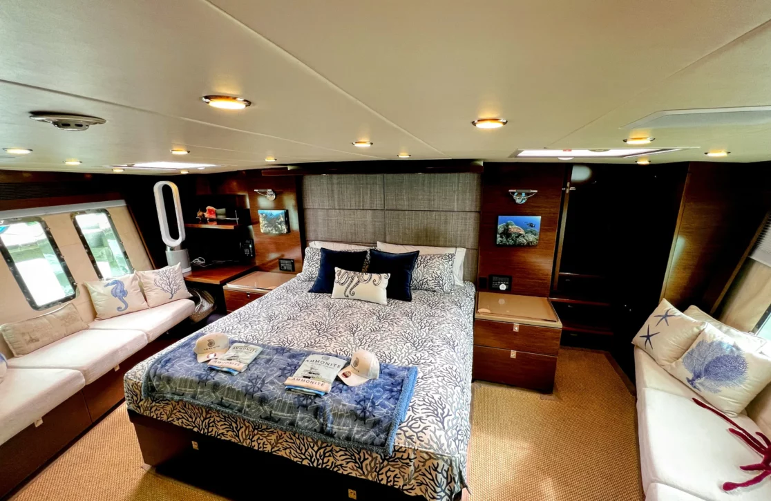 An image of Ammonite yacht