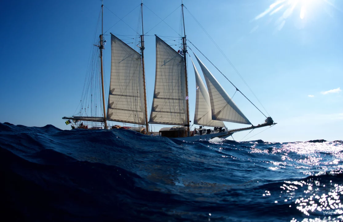 An image of Trinakria yacht