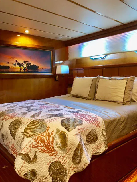 An image of Tortuga yacht