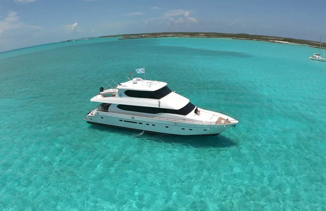 An image of Tortuga yacht