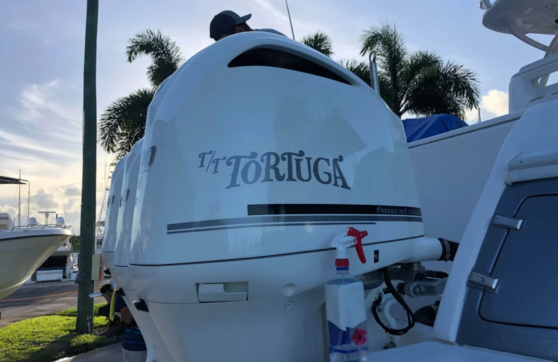 An image of Tortuga yacht