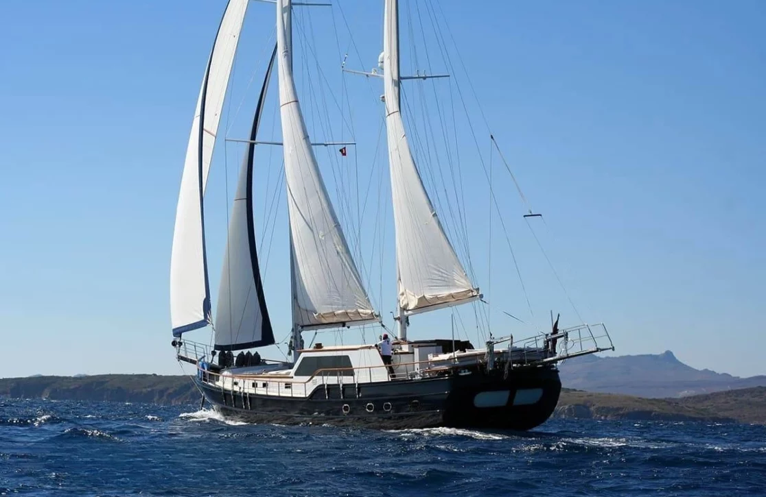An image of Didi yacht