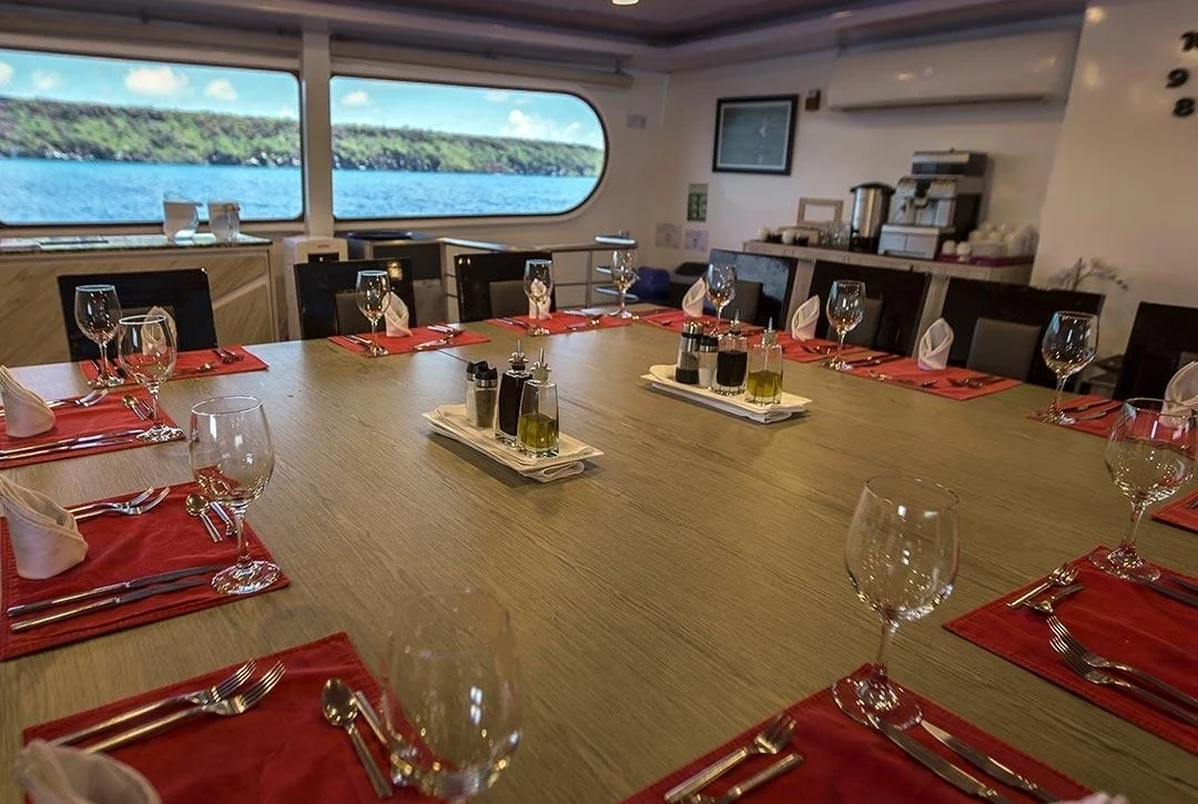 An image of Petrel yacht