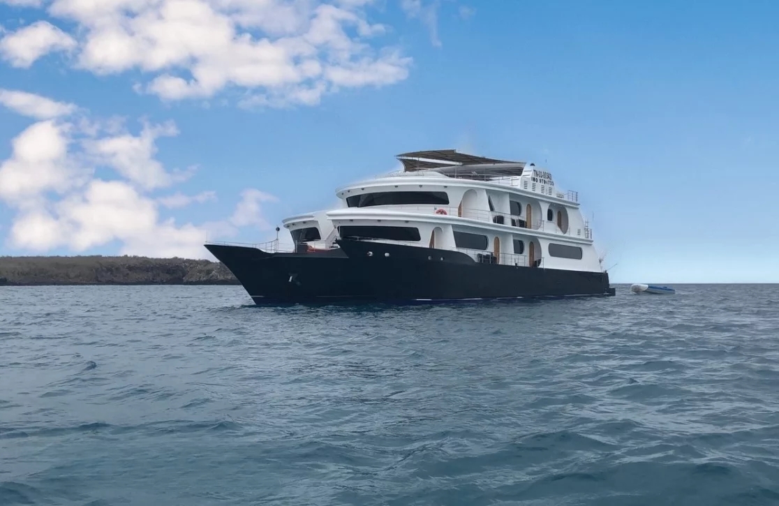 An image of Petrel yacht