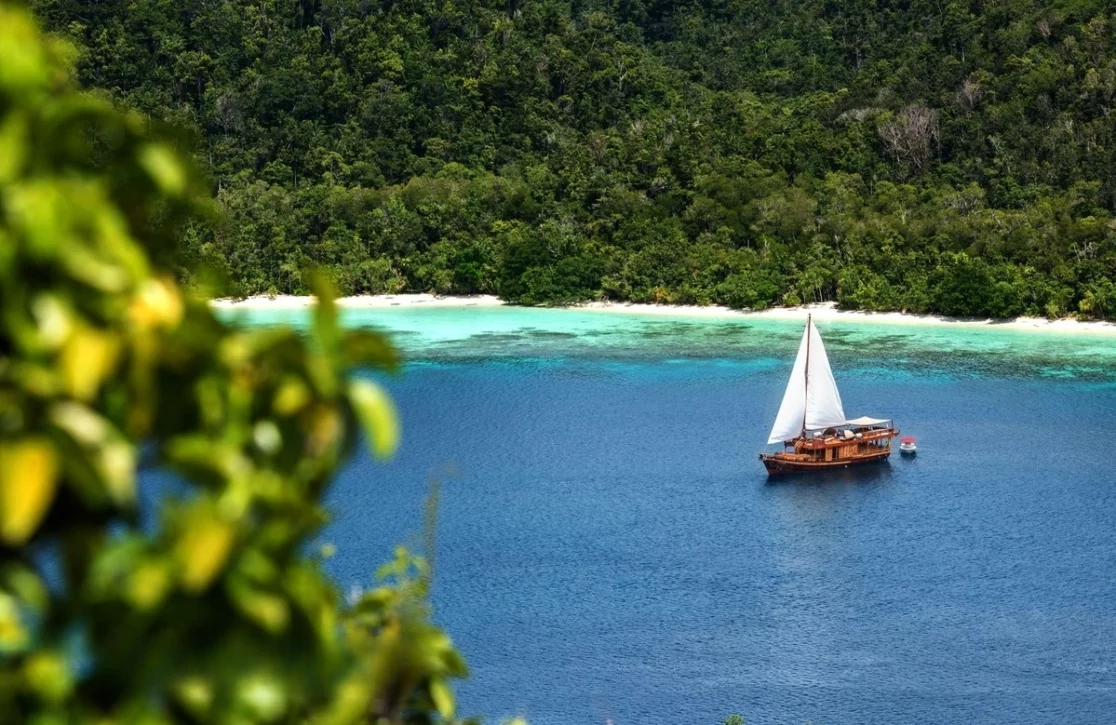 An image of Sequoia yacht