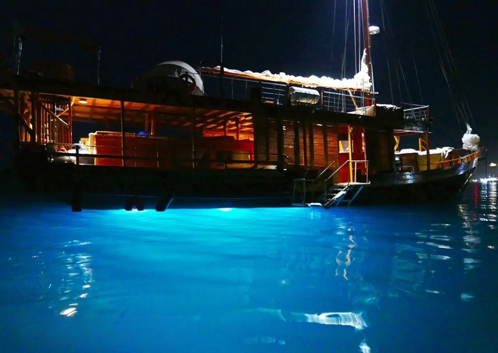 An image of Sequoia yacht