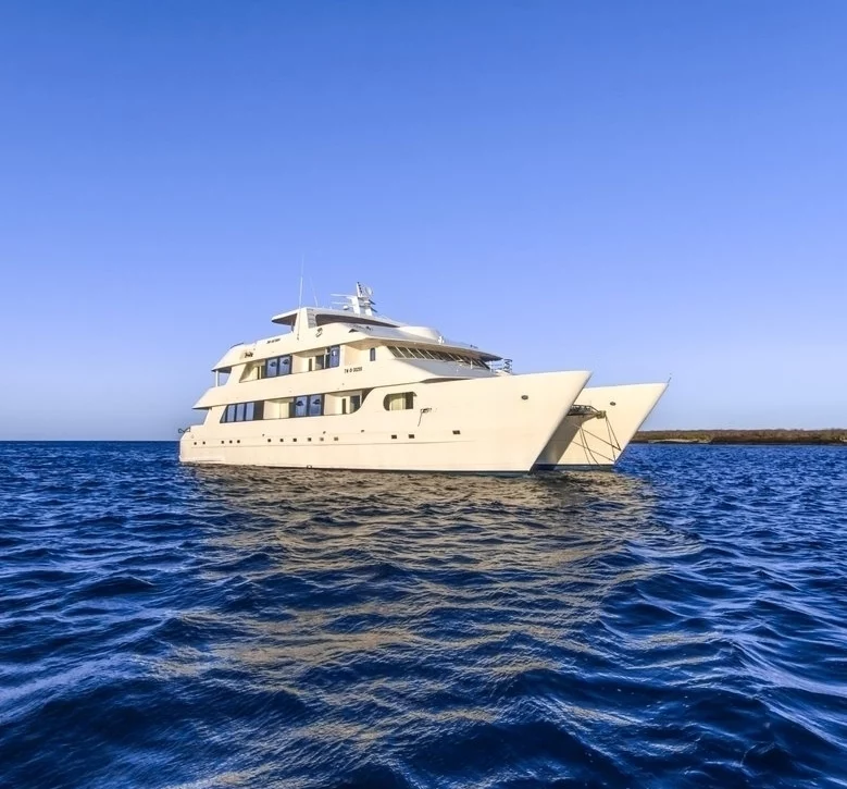 An image of Treasure yacht