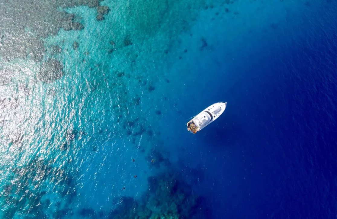 An image of Beluga yacht