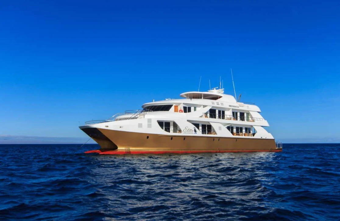 An image of Elite yacht