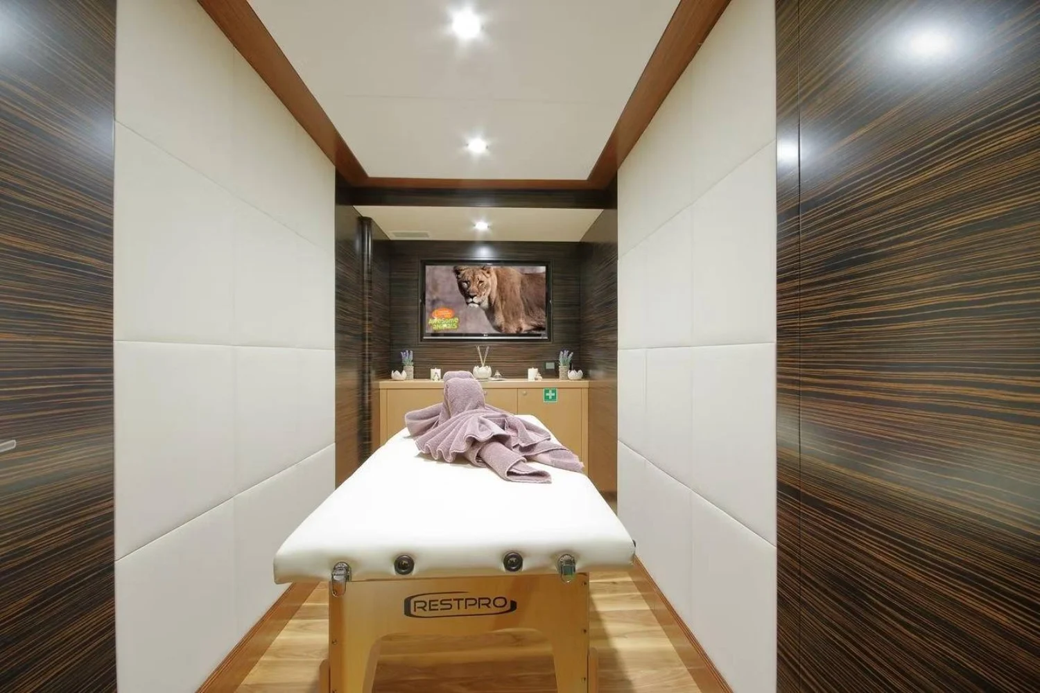 A preview of interior Spa massage room