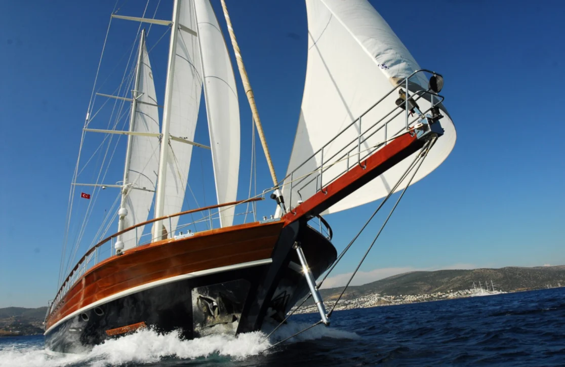 An image of Carpe Diem V yacht