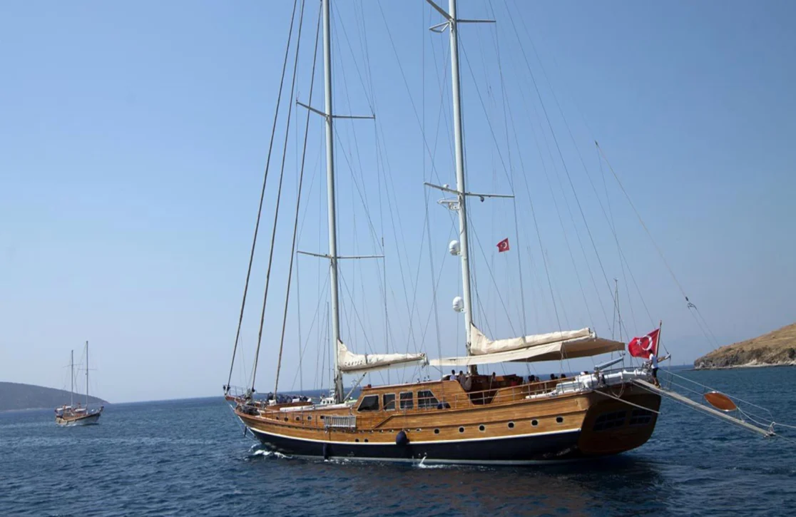 An image of Carpe Diem V yacht