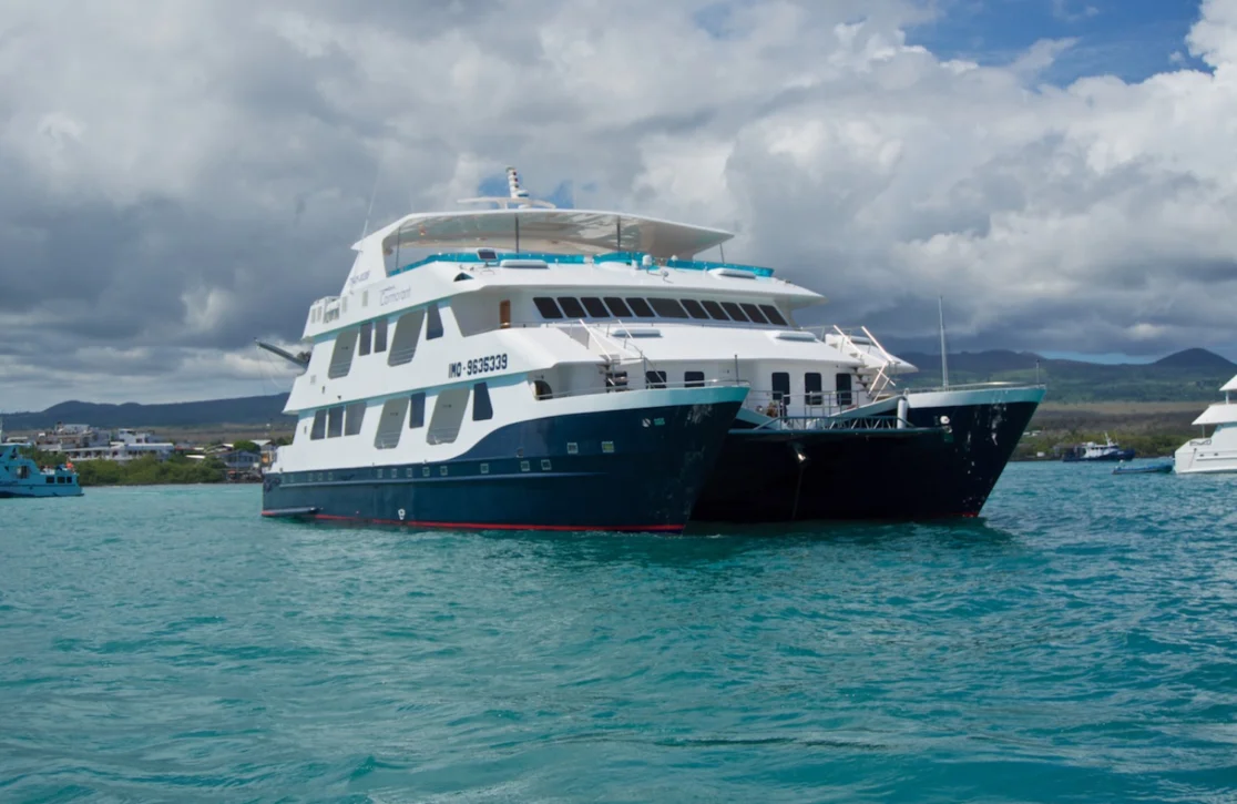 An image of Cormorant yacht