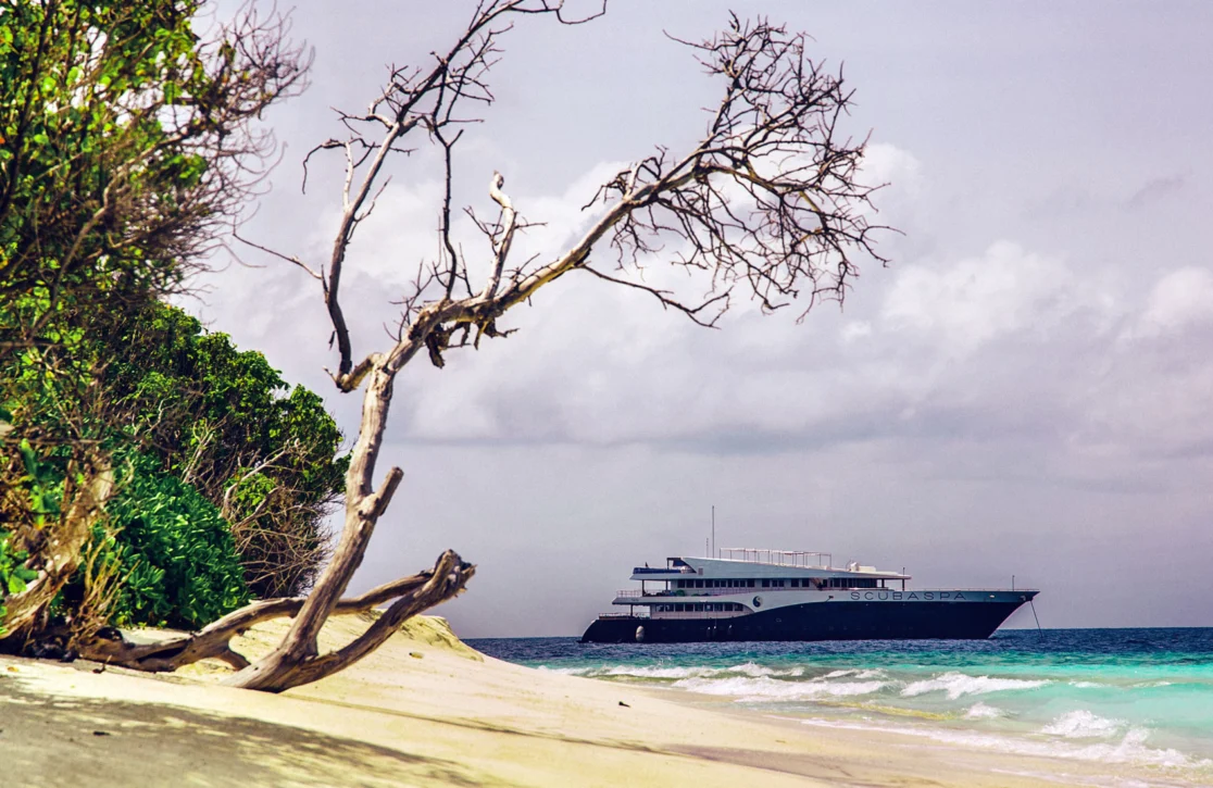 An image of Scubaspa yacht