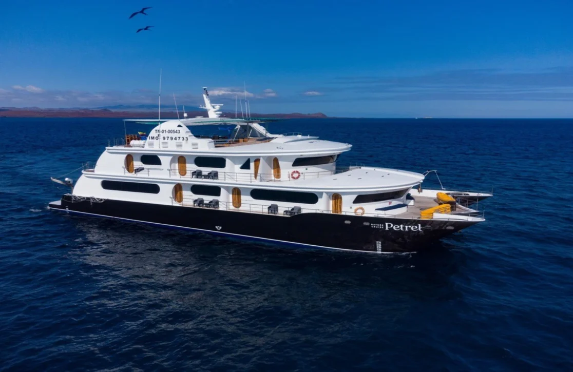 An image of Petrel yacht