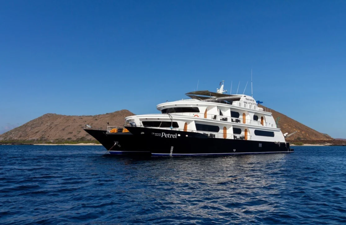 An image of Petrel yacht