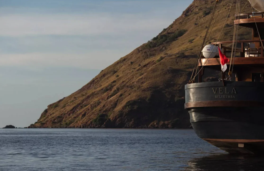 An image of Vela yacht