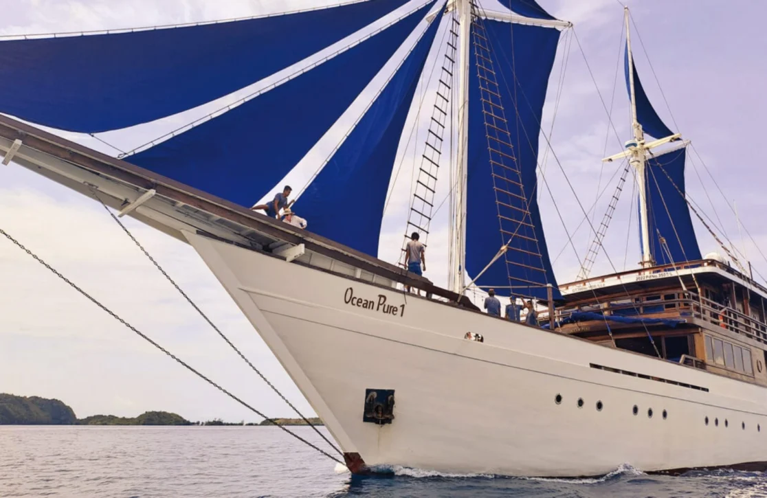 An image of Ocean Pure 1 yacht