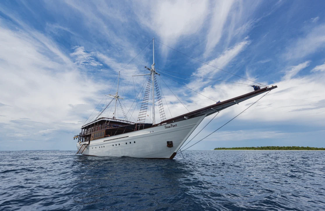 An image of Ocean Pure 1 yacht