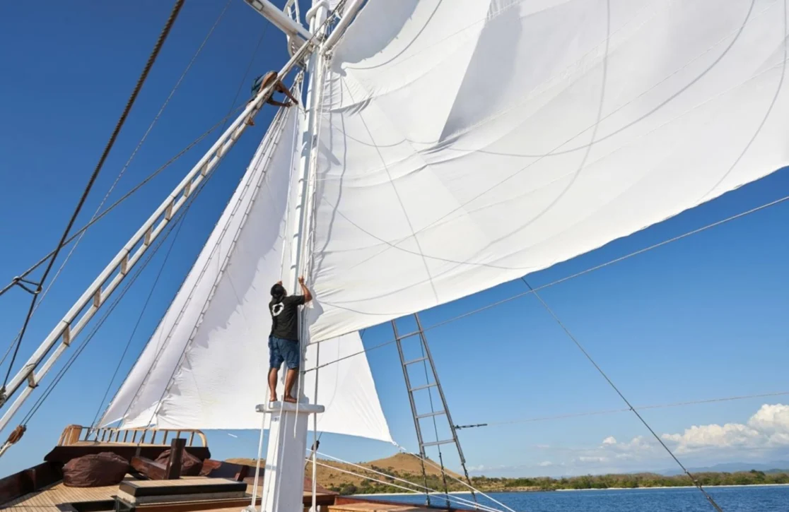 An image of Oracle yacht
