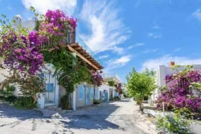 An image of Bodrum Old Town