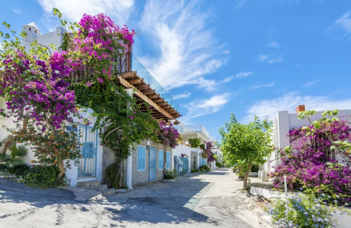 An image of Bodrum Old Town