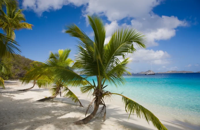 An image of Virgin Islands National Park