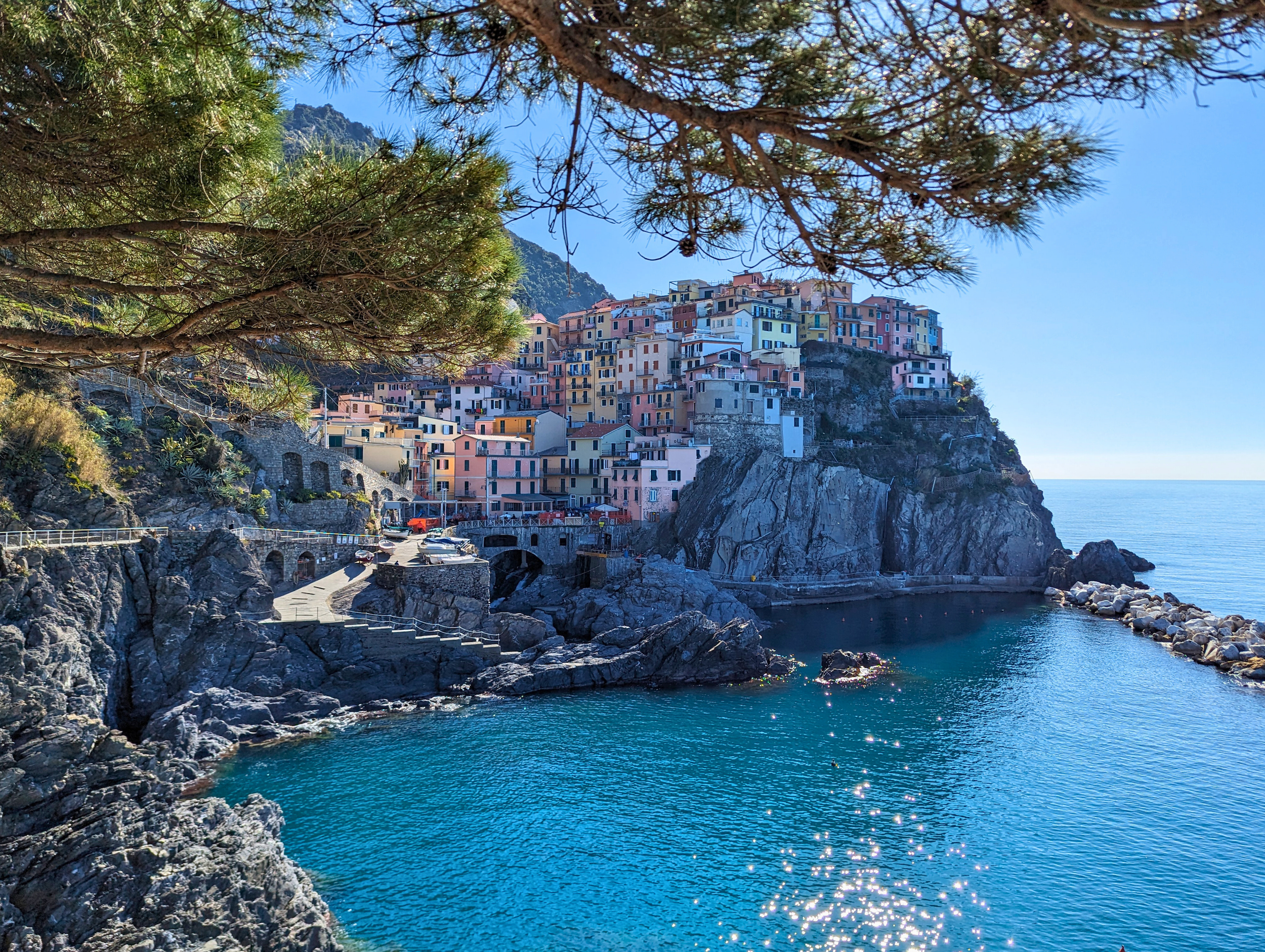 clifftop town in Cinque Terre framed by foliage