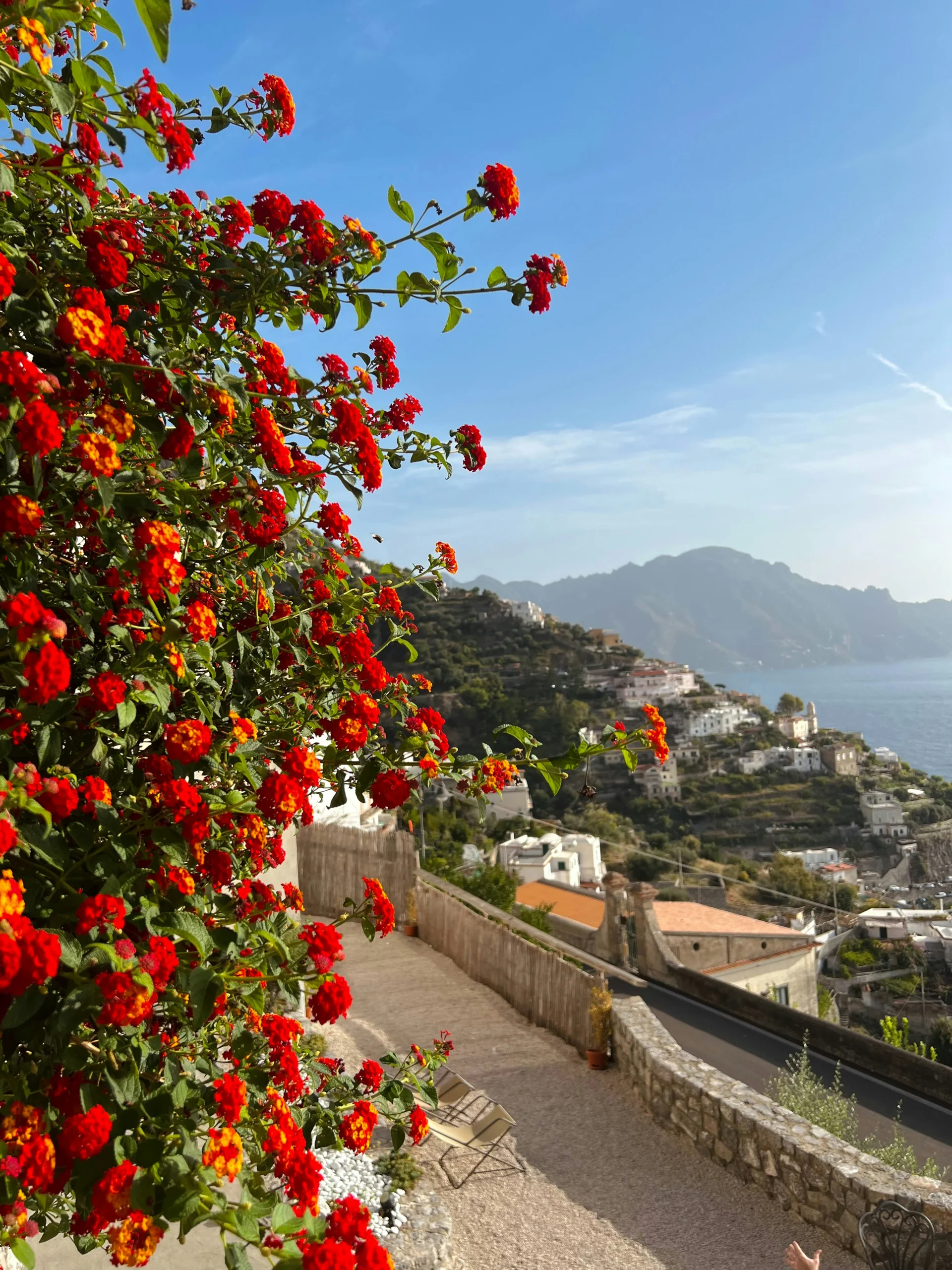 red flowers framing the amalfi coast