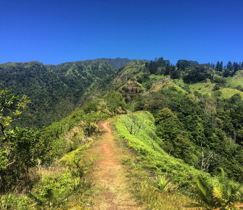 Hiking trail in Tahiti