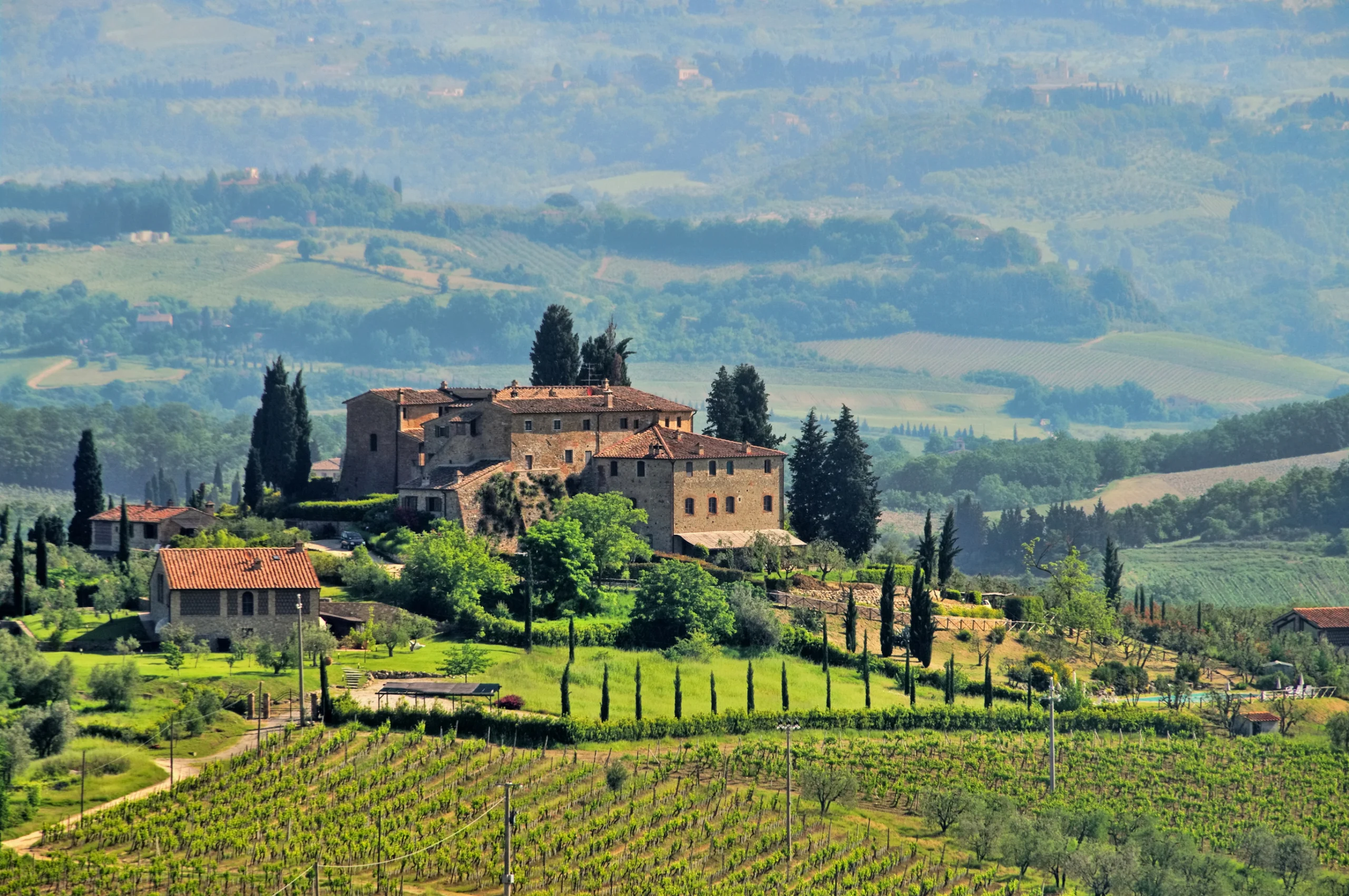 Tuscany in Italy, typical vineyard and cypress trees in Chianti region near Florence.