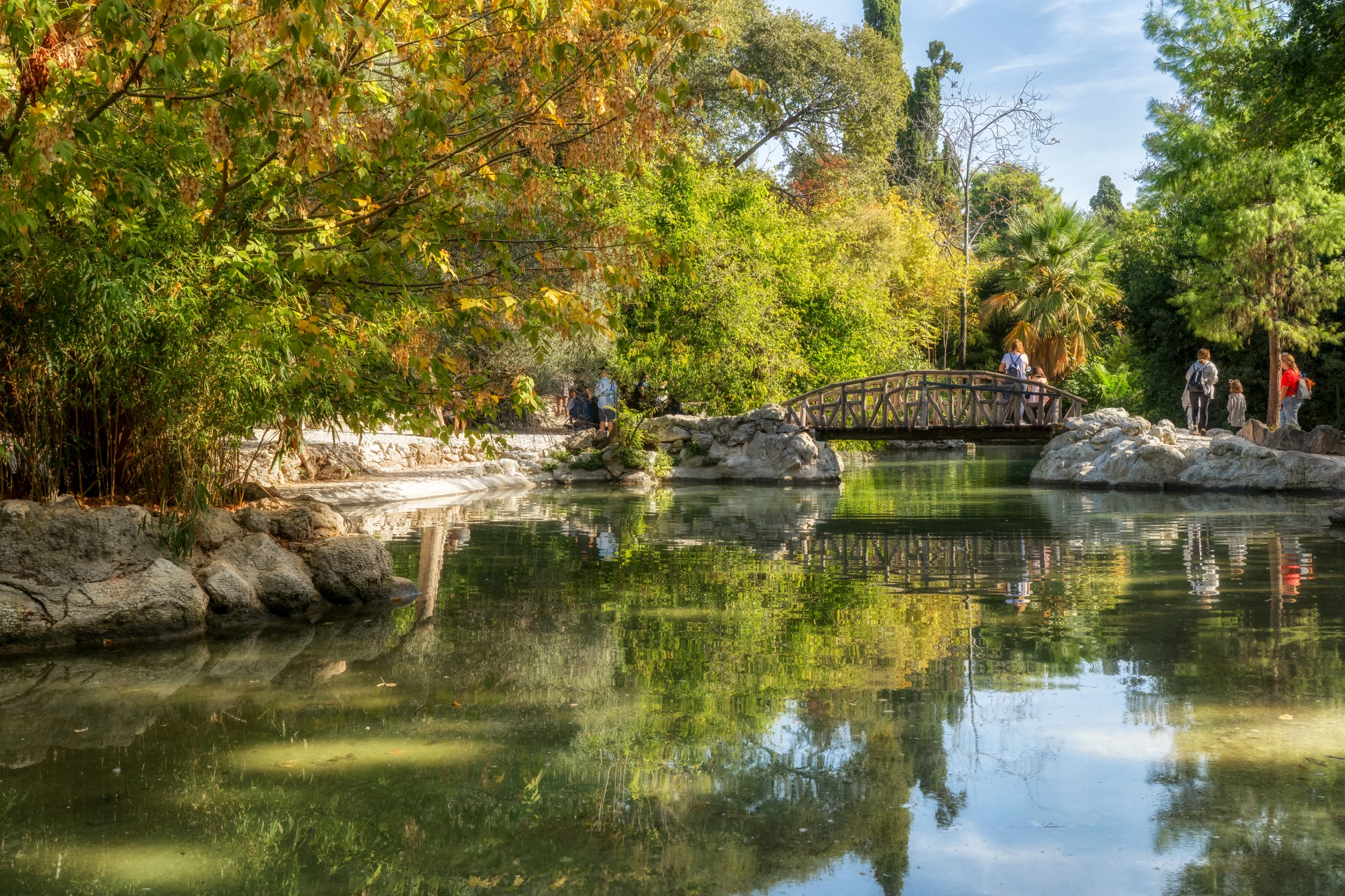 The artificial lake with the wooden bridge at the National Garden of Athens, a public park in the center of Athens city near Syntagma square and the Zappeion area.