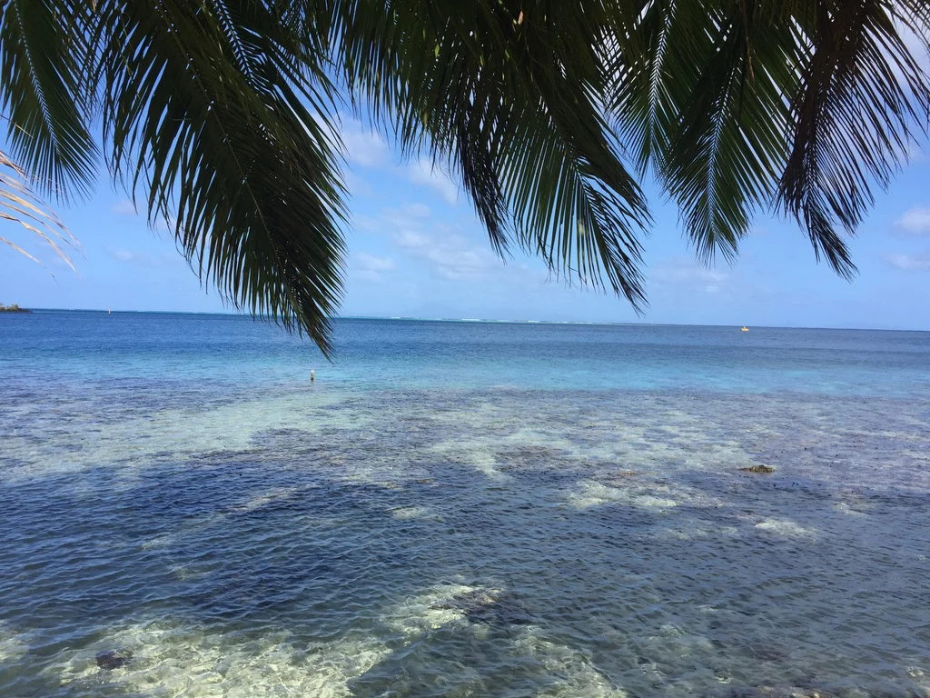 Moorea beach view