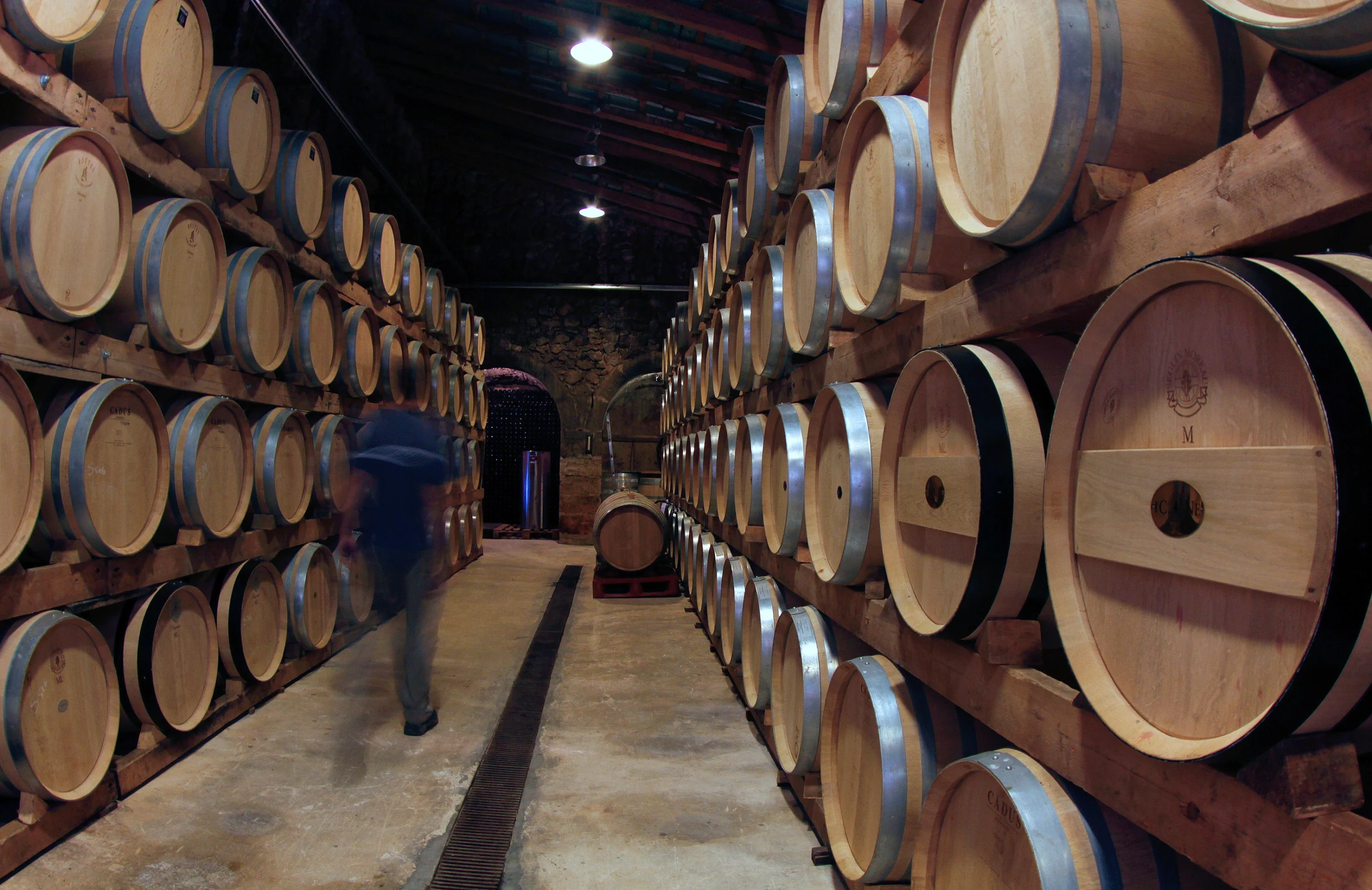 Barrels in a wineyard in the island of mallorca.