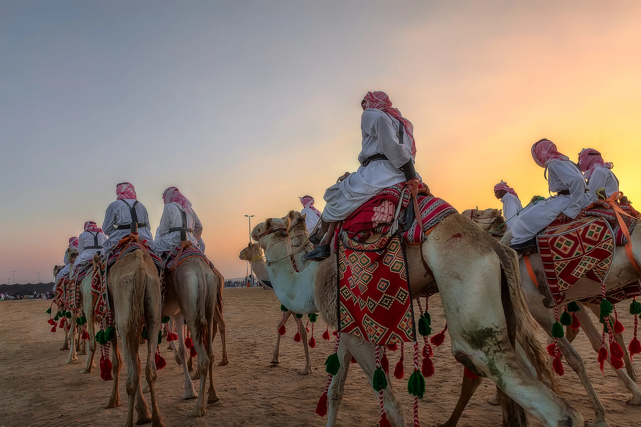 Arabian Camel ride in Saudi Arabia.