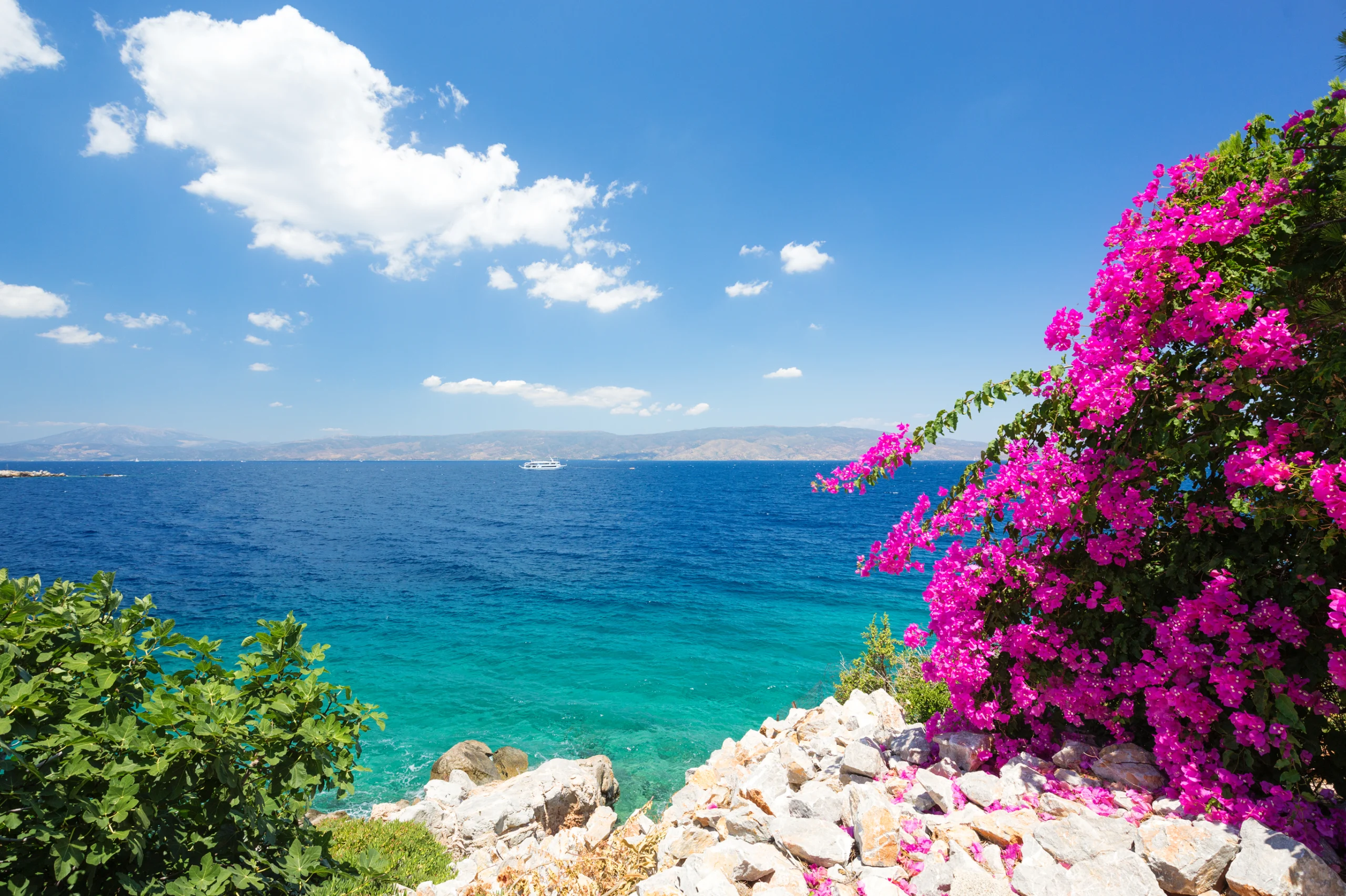 Blue sky and clear waters with beautiful flowers in foreground.