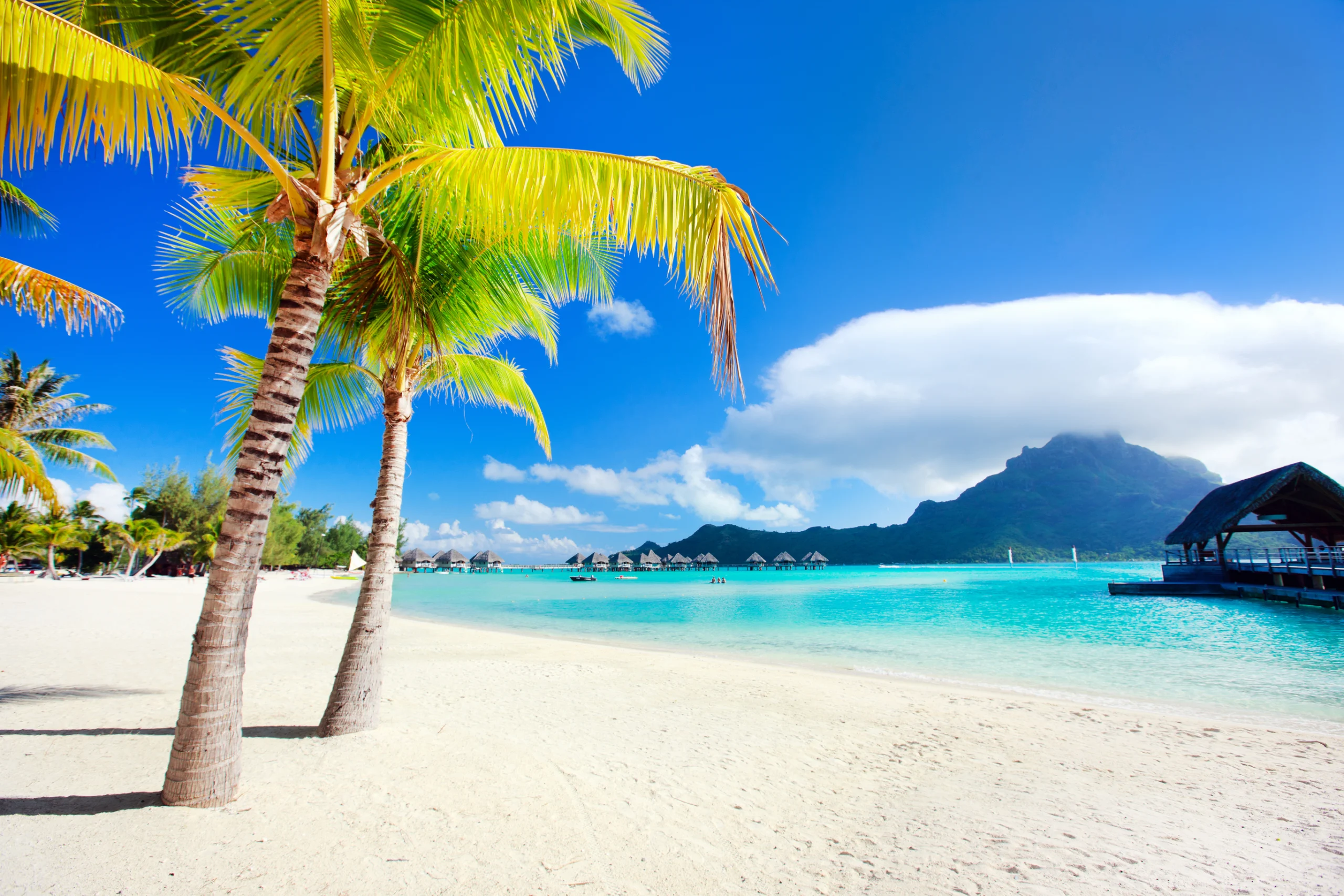 Bora Bora beach. Beautiful beach with a view of Otemanu mountain on Bora Bora island