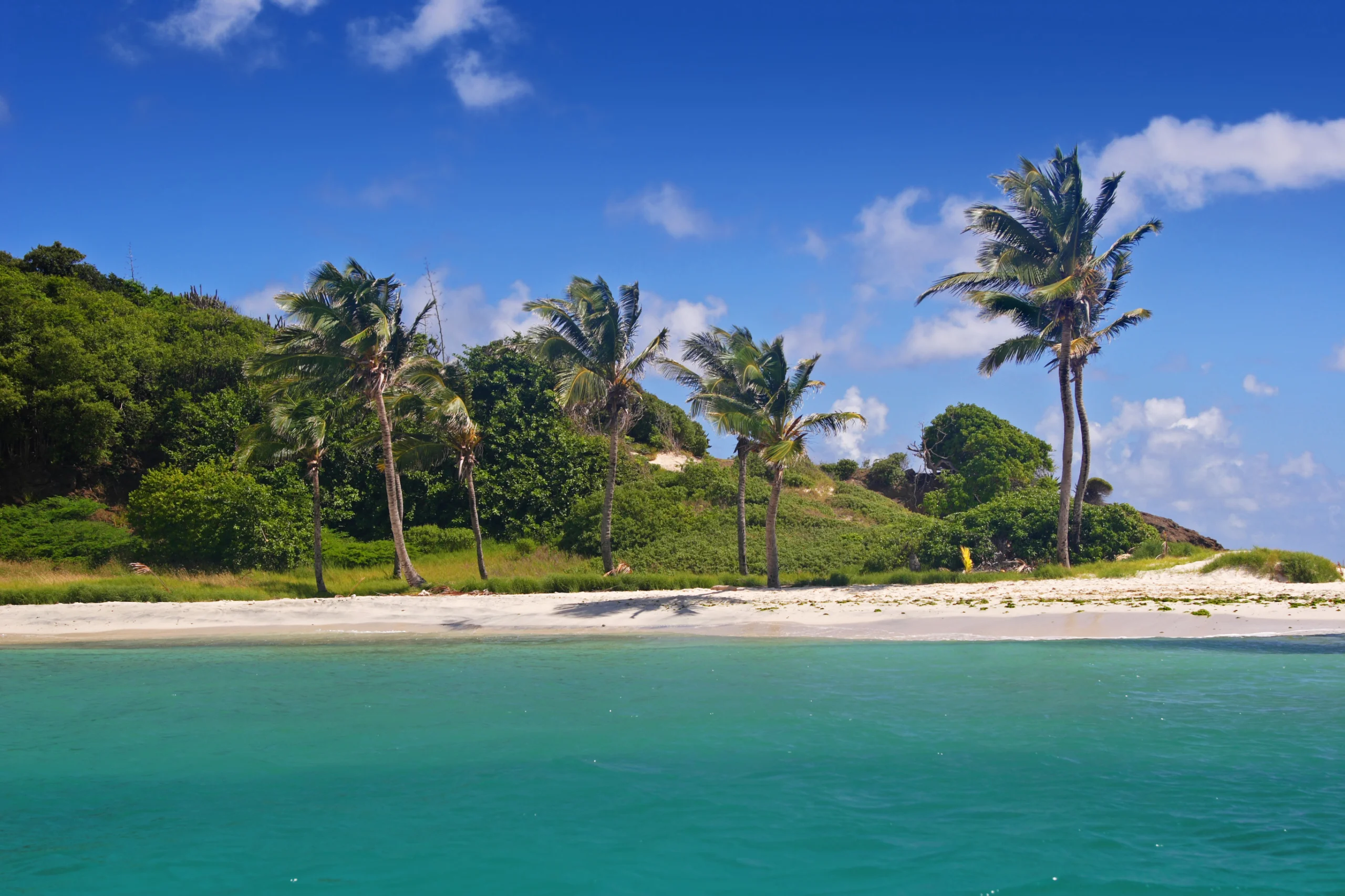 A beach on the Tobago Cays, part of a marine park in the Caribbean islands of the Grenadines.