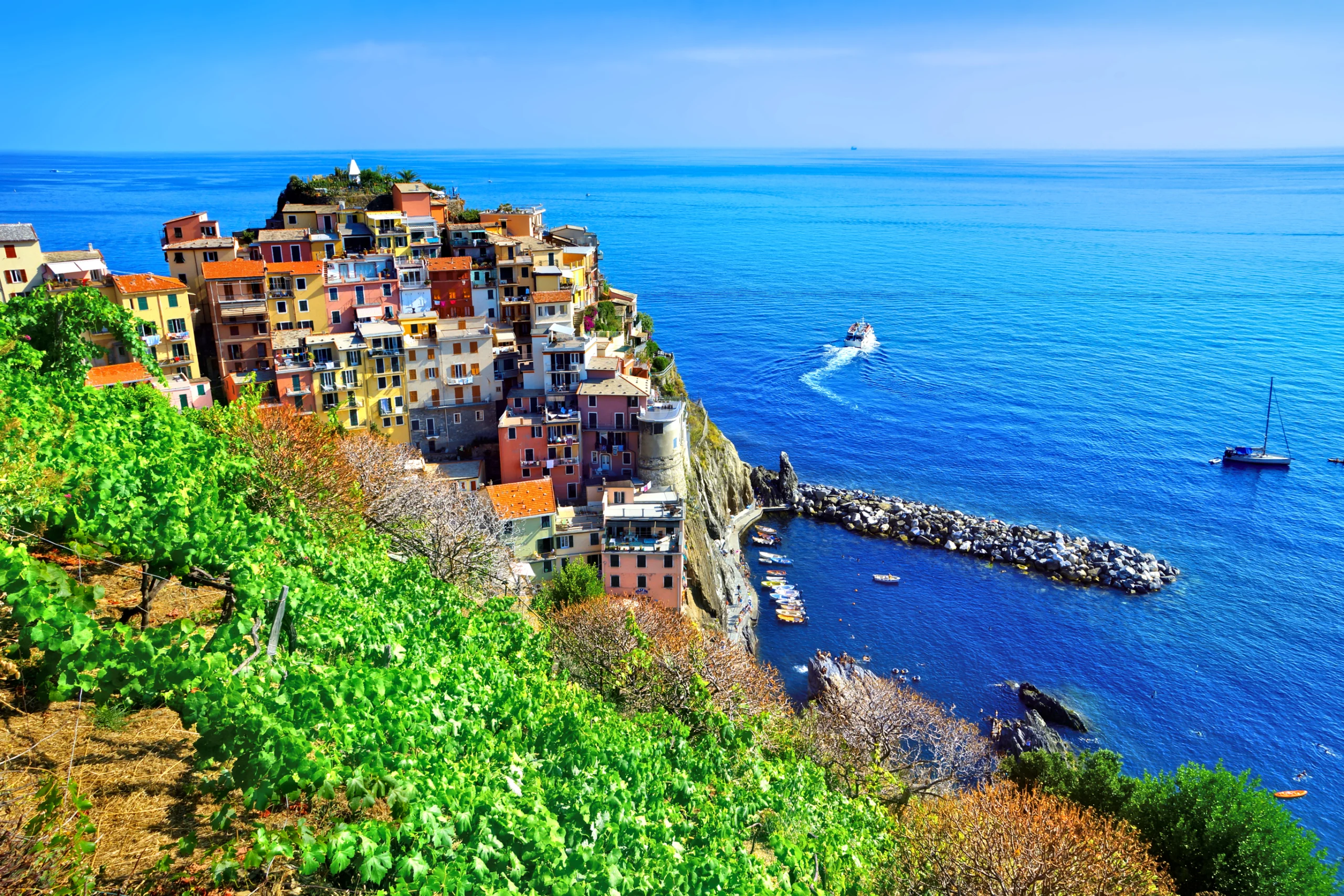 View of the colorful seaside Cinque Terre village of Manarola, Italy over vineyards