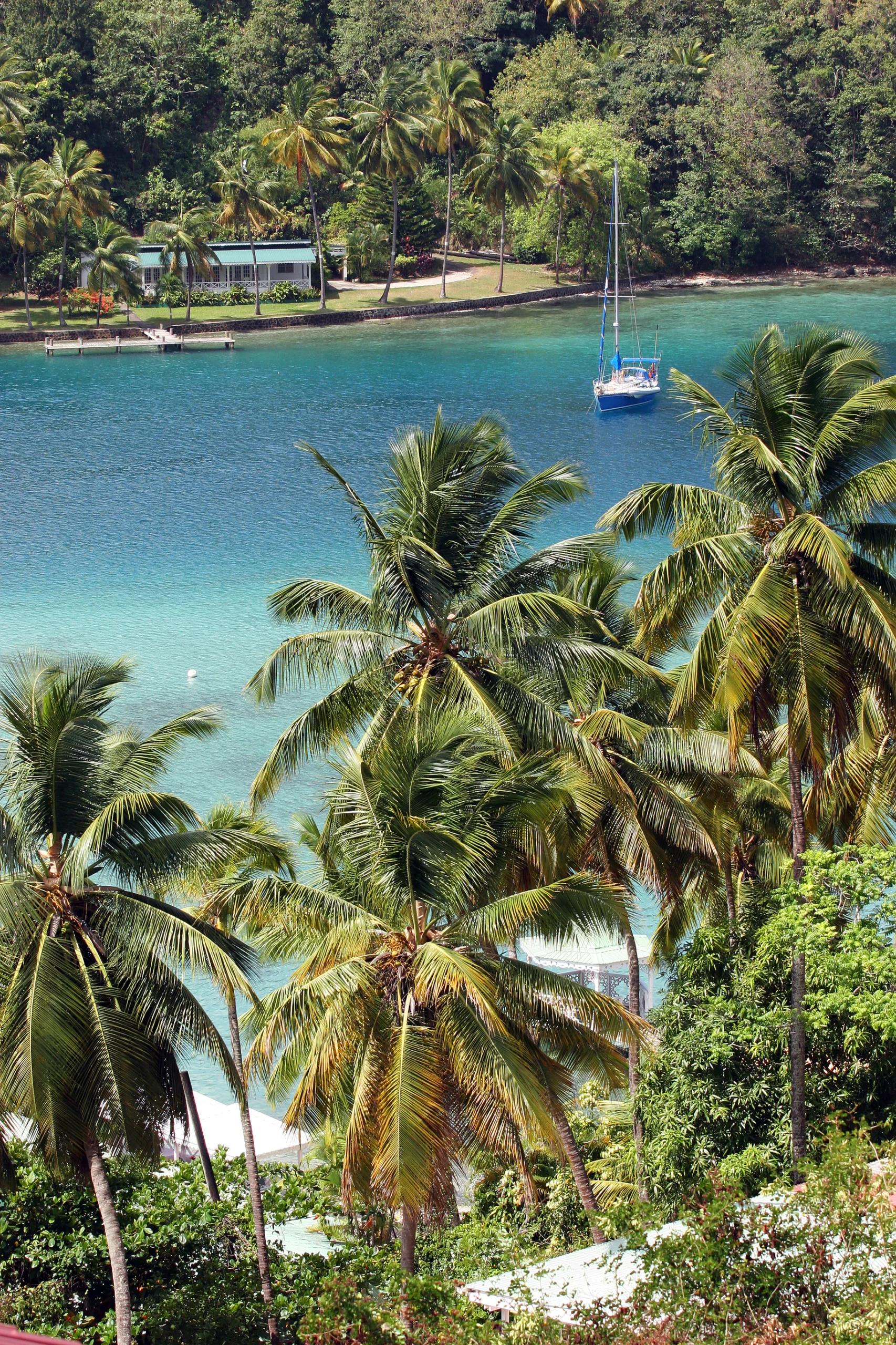 Palm trees lining Marigot Bay in St. Lucia, Caribbean.