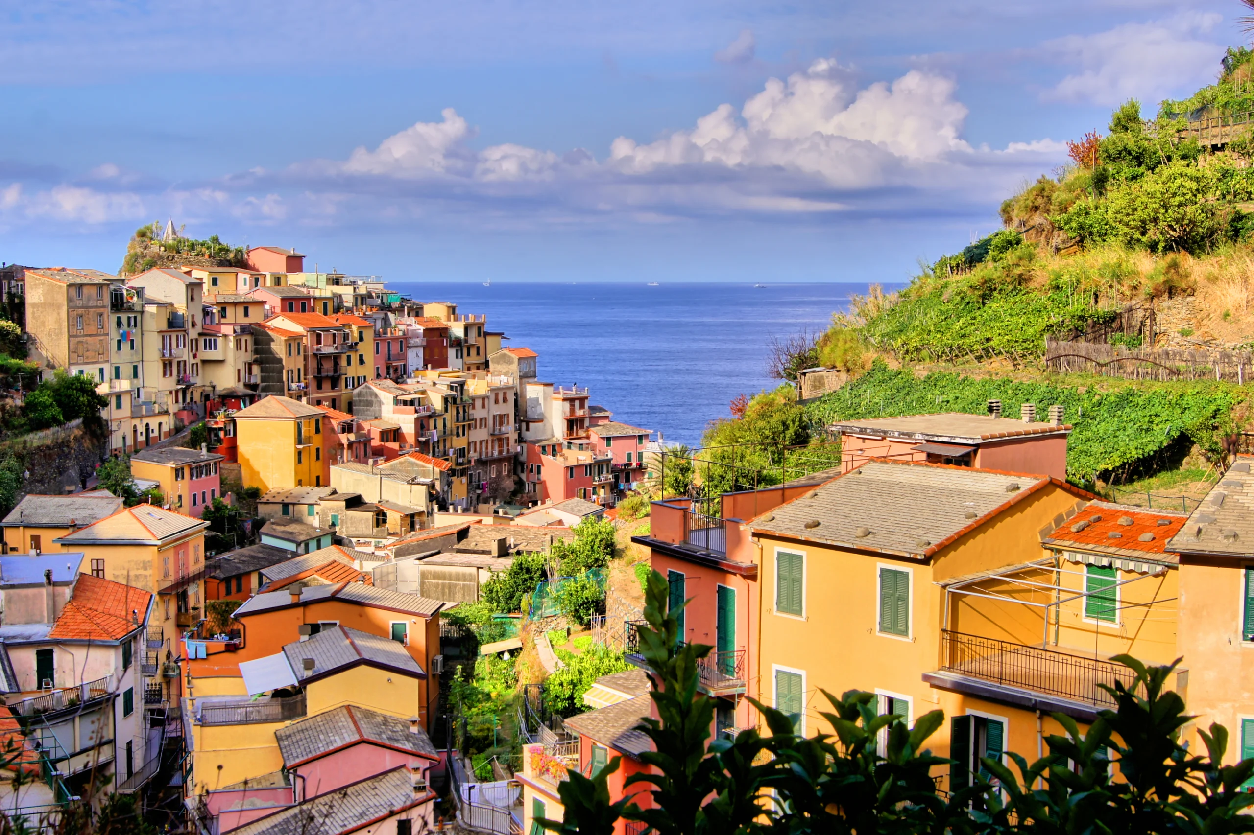 View over the Cinque Terre village of Manarola, Italy