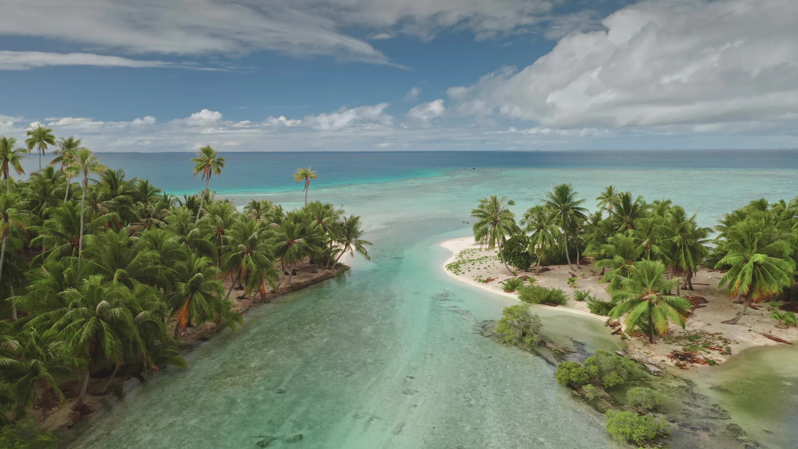 Tuamotu Islands, French Polynesia.