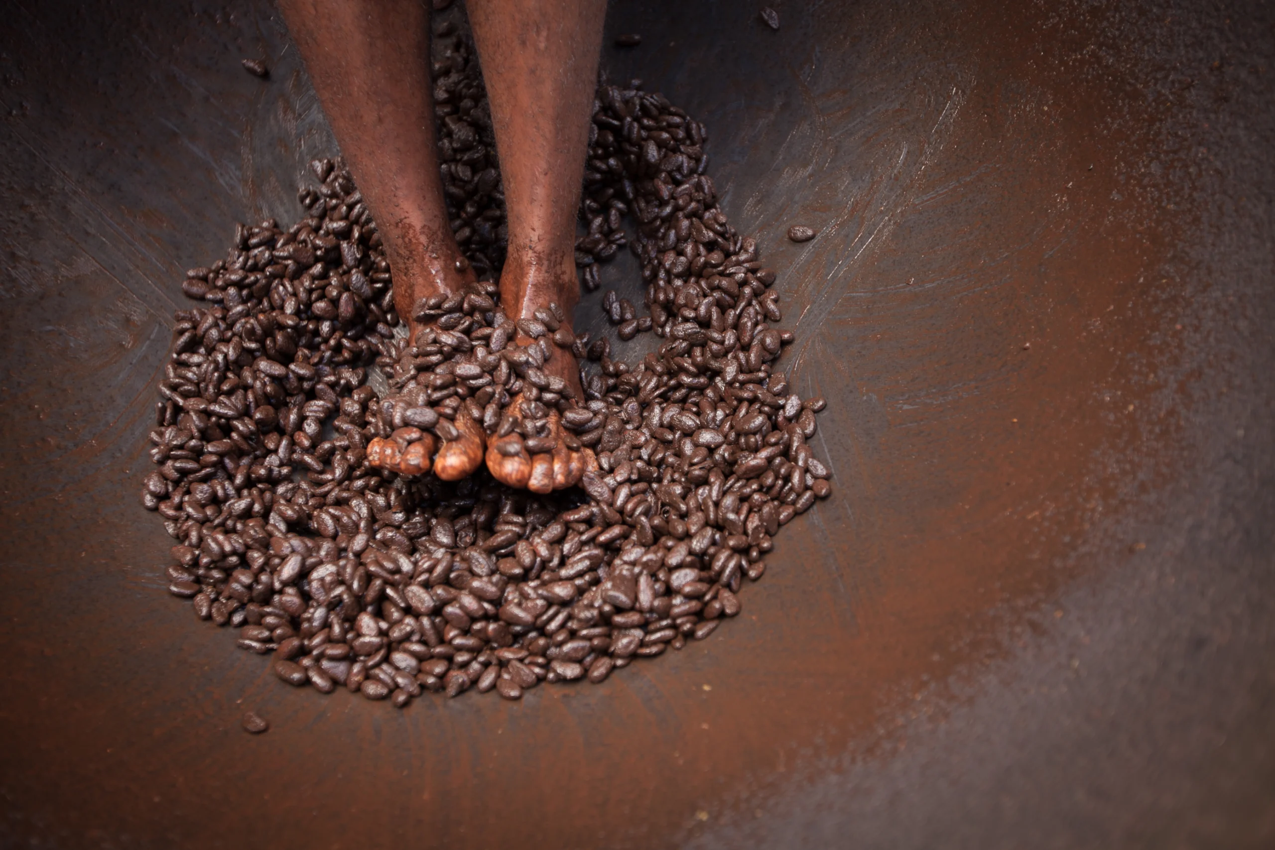 A man is mashing cocoa beans with his bare feet in St. Lucia.