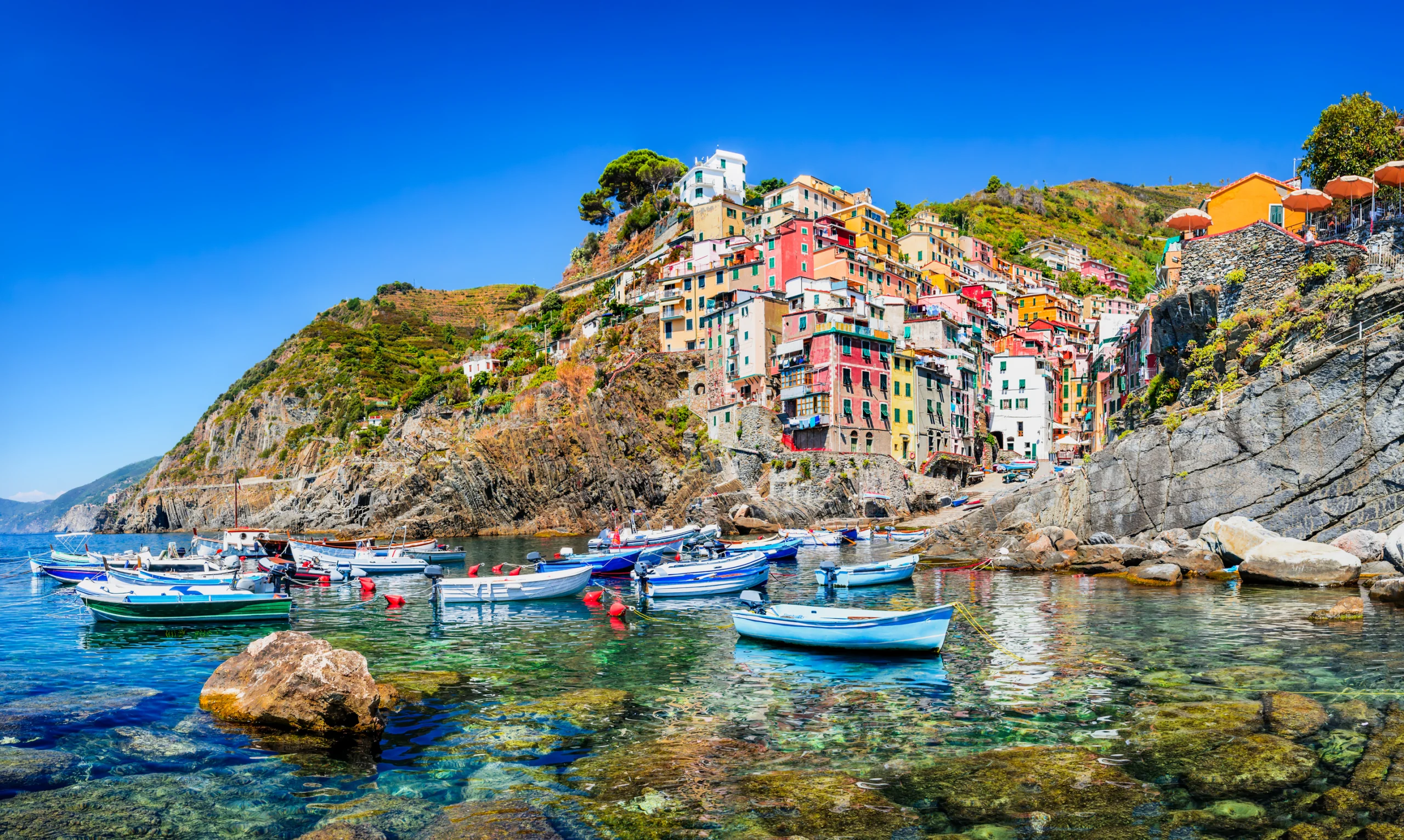 Riomaggiore village in a small valley in the Liguria region of Italy.