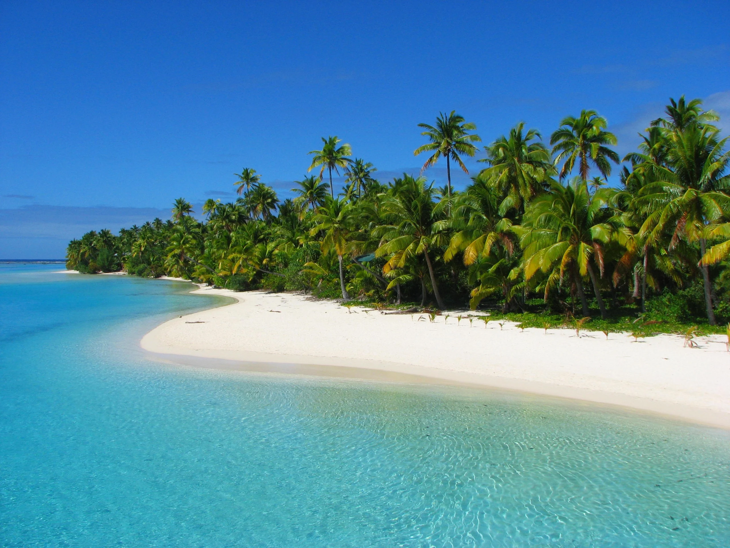 Beautiful One Foot Island, Cook Islands