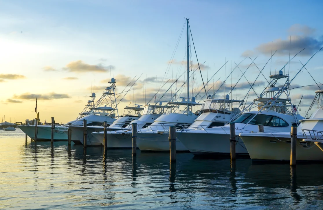 Inside the 2026 Palm Beach International Boat Show: Dates, Yachts & VIP Tips