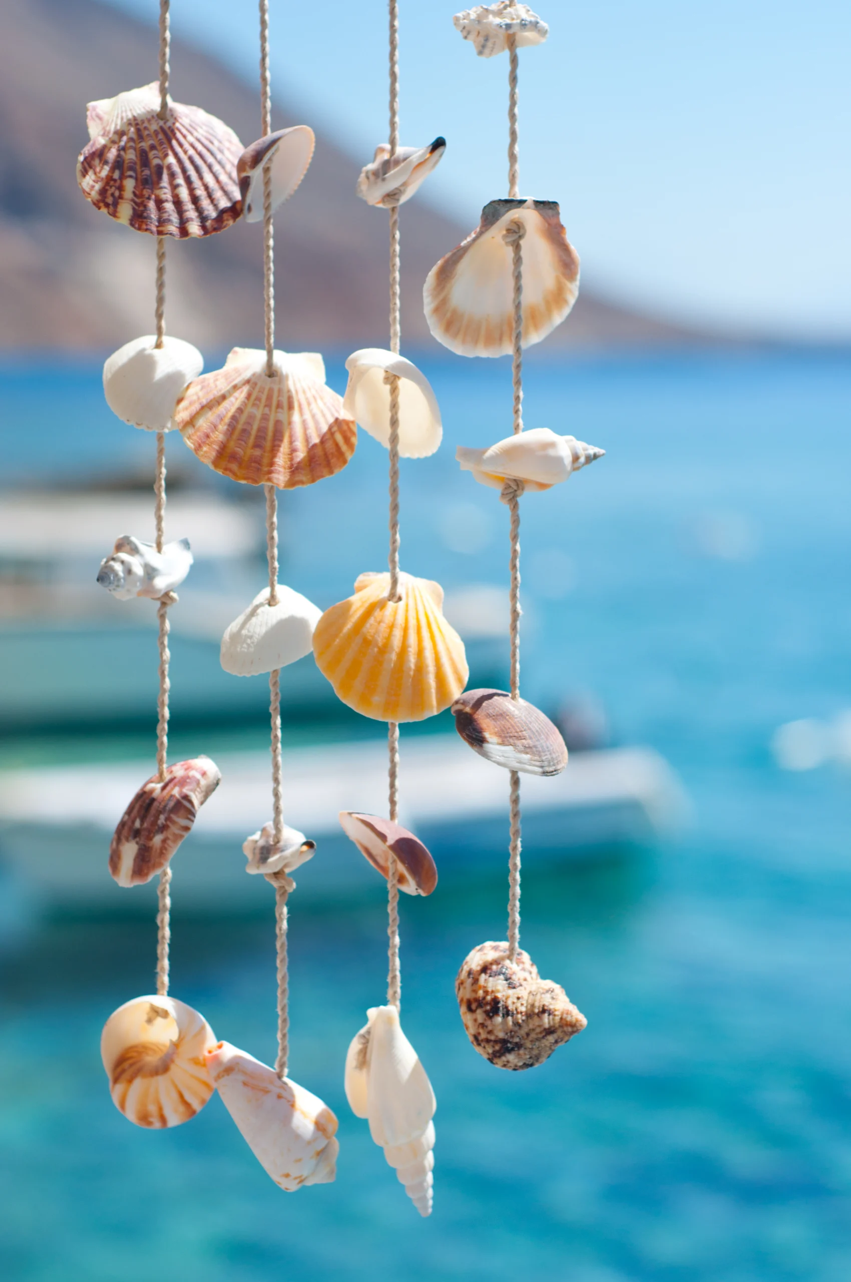Sea shell decoration with the sea in the background