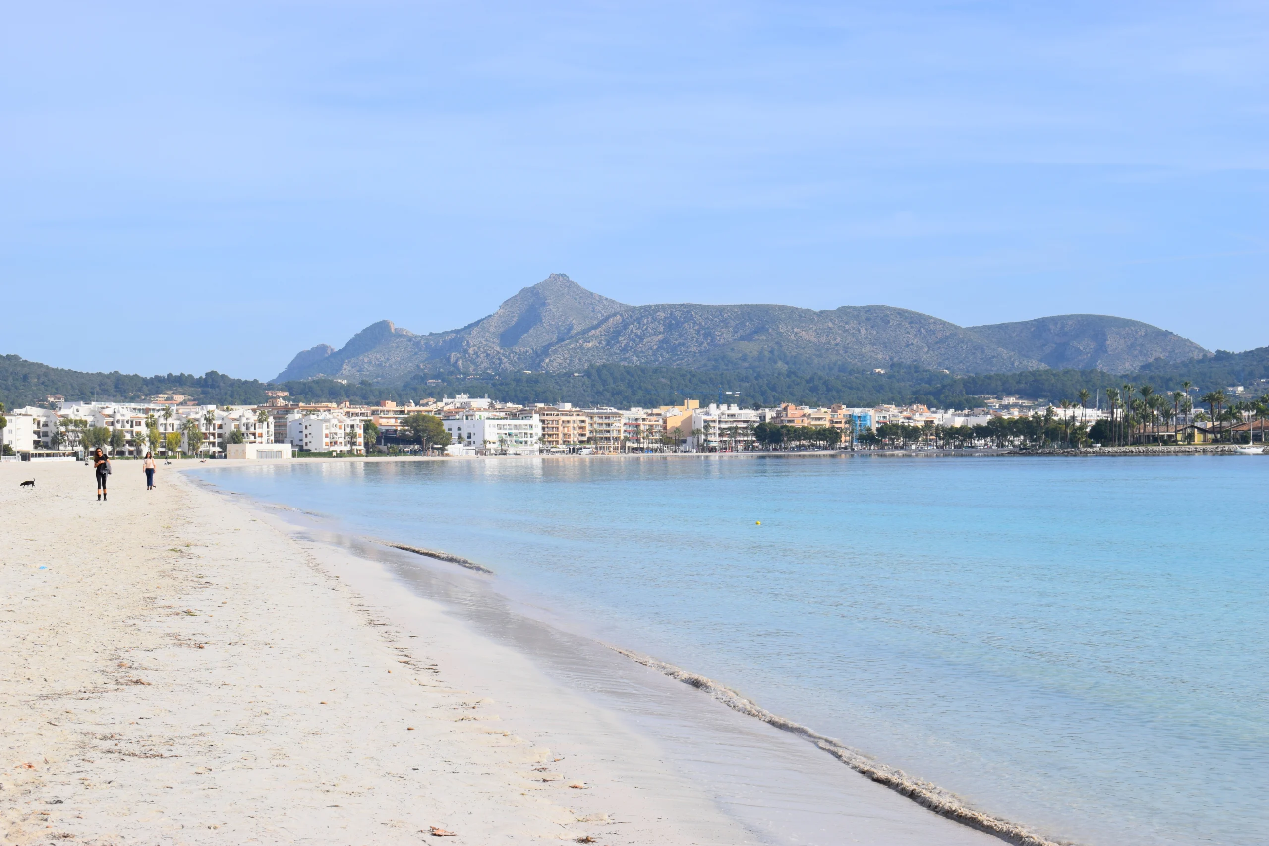 Alcudia